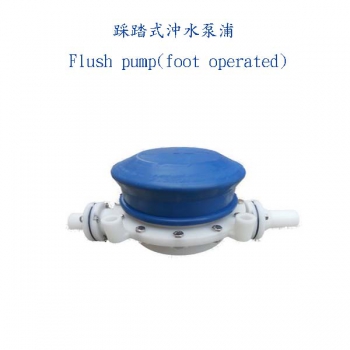 Flushing Pump